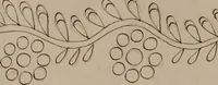 An illustration from [Book of designs (1824)