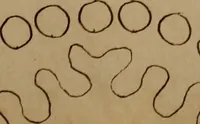An illustration from [Book of designs (1824)