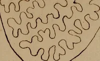 An illustration from [Book of designs (1824)