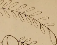 An illustration from [Book of designs (1824)