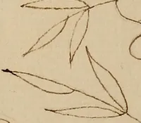 An illustration from [Book of designs (1824)