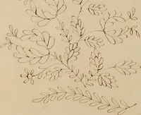 An illustration from [Book of designs (1824)