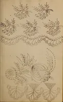 An illustration from [Book of designs (1824)