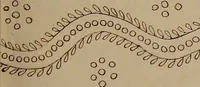 An illustration from [Book of designs (1824)