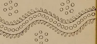 An illustration from [Book of designs (1824)