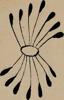 An illustration from [Book of designs (1824)