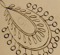 An illustration from [Book of designs (1824)