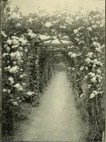 An illustration from The book of the exhibition of houses and cottages, Romford garden suburb, Gidea Park (1911)