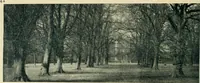 An illustration from The book of the exhibition of houses and cottages, Romford garden suburb, Gidea Park (1911)