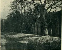 An illustration from The book of the exhibition of houses and cottages, Romford garden suburb, Gidea Park (1911)
