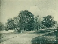An illustration from The book of the exhibition of houses and cottages, Romford garden suburb, Gidea Park (1911)