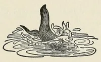Picture 4 of 13 from The book of hobbies; or, A guide to happiness (1924), leaf 175