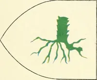 An illustration from Book of the knowledge of all the kingdoms, lands, and lordships that are in the world (1912)