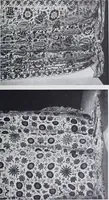 An illustration from A book of old embroidery (1921)