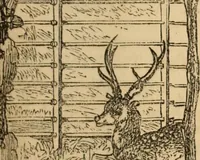 An illustration from The book of orders of knighthood and decorations of honour of all nations ... (1858)