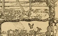 An illustration from The book of orders of knighthood and decorations of honour of all nations ... (1858)