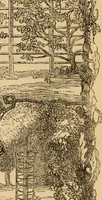 An illustration from The book of orders of knighthood and decorations of honour of all nations ... (1858)