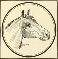 An illustration from Book of plans / Chicago House Wrecking Co. (1913)