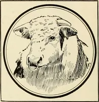 An illustration from Book of plans / Chicago House Wrecking Co. (1913)