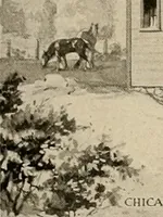 Picture 205 of 235 from Book of plans / Chicago House Wrecking Co. (1913), leaf 84