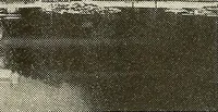 An illustration from A book of samples of papers manufactured to print properly all kinds of illustrations; together with a book of the same papers printed and lithographed in all of the principal processes used for illustration (1922)