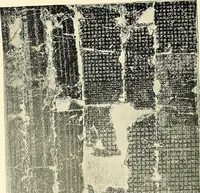 An illustration from The book of Ser Marco Polo, the Venetian, concerning the kingdoms and marvels of the East; (1903)
