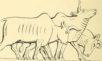 An illustration from The book of Ser Marco Polo, the Venetian, concerning the kingdoms and marvels of the East; (1903)