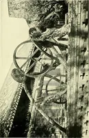 An illustration from The book of Ser Marco Polo, the Venetian, concerning the kingdoms and marvels of the East; (1903)