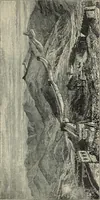 An illustration from The book of Ser Marco Polo : the Venetian concerning the kingdoms and marvels of the East (1903)