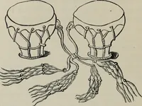 An illustration from The book of Ser Marco Polo : the Venetian concerning the kingdoms and marvels of the East (1903)