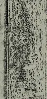 An illustration from The book of Ser Marco Polo : the Venetian concerning the kingdoms and marvels of the East (1903)
