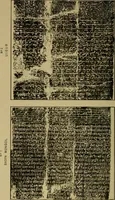 Picture 25 of 75 from The book of Ser Marco Polo, the Venetian : concerning the kingdoms and marvels of the East (1871), leaf 207