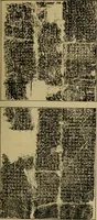 An illustration from The book of Ser Marco Polo, the Venetian : concerning the kingdoms and marvels of the East (1871)