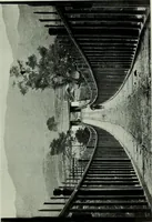 An illustration from The book of Ser Marco Polo : the Venetian concerning the kingdoms and marvels of the East (1903)
