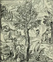 An illustration from The book of Ser Marco Polo : the Venetian concerning the kingdoms and marvels of the East (1903)