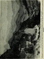 An illustration from The book of Ser Marco Polo : the Venetian concerning the kingdoms and marvels of the East (1903)