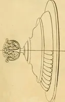 Picture 152 of 201 from [Book of silver patterns] (1820), leaf 170