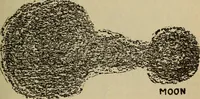 Picture 95 of 186 from The book of stars (1920), leaf 110