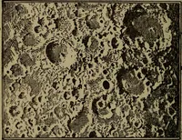 An illustration from The book of stars (1920)