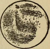 Picture 100 of 186 from The book of stars (1920), leaf 114