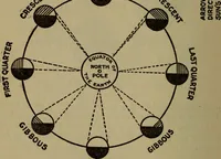 Picture 105 of 186 from The book of stars (1920), leaf 117