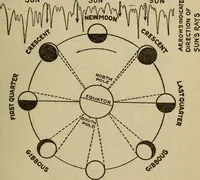 Picture 106 of 186 from The book of stars (1920), leaf 118