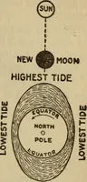 Picture 109 of 186 from The book of stars (1920), leaf 122