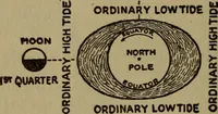 Picture 111 of 186 from The book of stars (1920), leaf 123