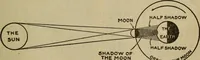 Picture 119 of 186 from The book of stars (1920), leaf 130