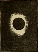 Picture 121 of 186 from The book of stars (1920), leaf 132