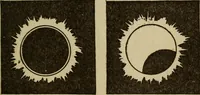 Picture 122 of 186 from The book of stars (1920), leaf 132