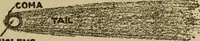 Picture 123 of 186 from The book of stars (1920), leaf 134