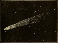 Picture 126 of 186 from The book of stars (1920), leaf 136