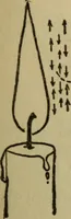 Picture 132 of 186 from The book of stars (1920), leaf 148